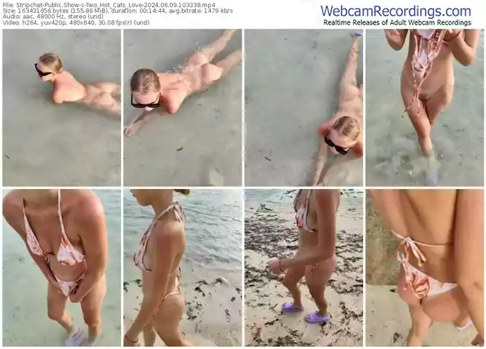 2024/06/09/stripchat-two_hot_cats_love-10-33-38