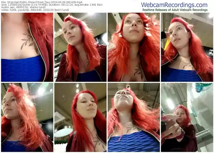 2024/06/09/stripchat-frost_foxy-08-14-28