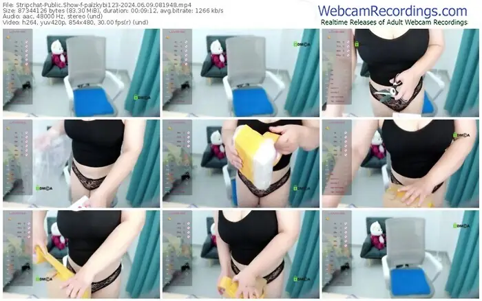 2024/06/09/stripchat-palzkybi123-08-19-48