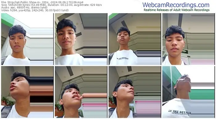 2024/06/09/stripchat-_ottis_-17-01-09