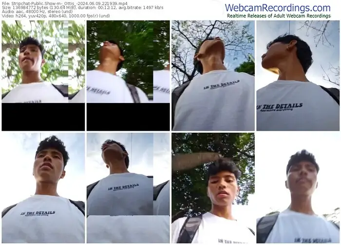 2024/06/09/stripchat-_ottis_-22-19-39