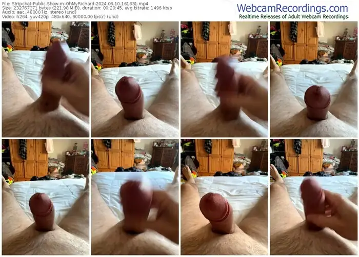 2024/06/10/stripchat-ohmyrichard-16-16-31