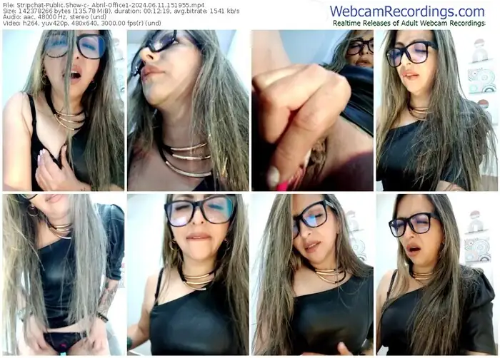 2024/06/11/stripchat-_abril-office1-15-19-55