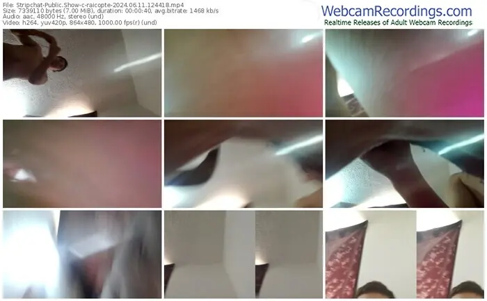 2024/06/11/stripchat-raicopte-12-44-18