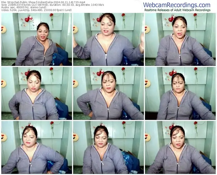 2024/06/11/stripchat-indiandelia-14-17-23