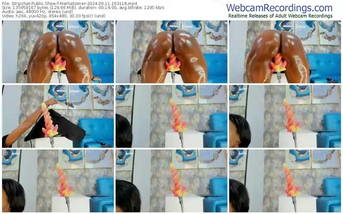 2024/06/11/stripchat-merliasomer-16-31-18