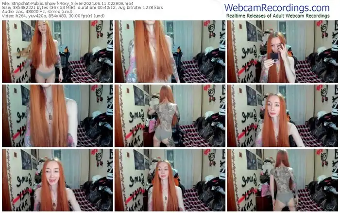 2024/06/11/stripchat-roxy_silver-02-29-09