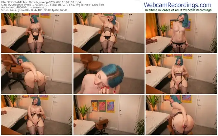 2024/06/11/stripchat-_vixenp-19-11-39