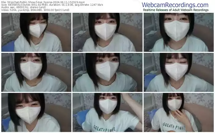 2024/06/11/stripchat-mei_hosina-15-23-23