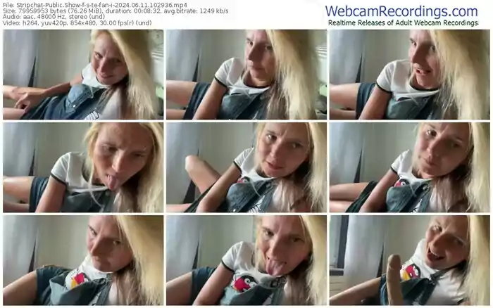 2024/06/11/stripchat-s-te-fan-i-10-29-36