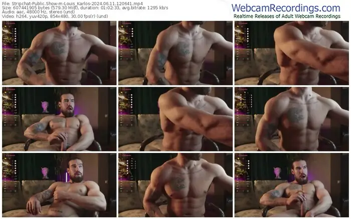 2024/06/11/stripchat-louis_karlos-12-06-41