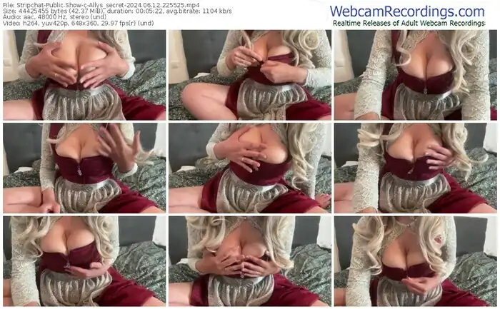 2024/06/12/stripchat-allys_secret-22-55-25