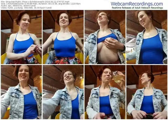 2024/06/12/stripchat-exhibitionsplit-07-47-37