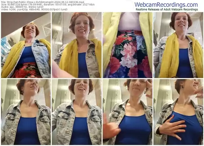 2024/06/12/stripchat-exhibitionsplit-08-33-39