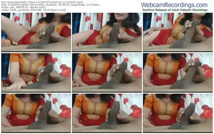 2024/06/12/stripchat-fun4tips-19-30-01