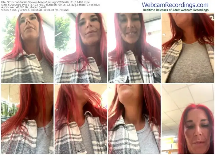 2024/06/12/stripchat-black-flamingo-11-24-08