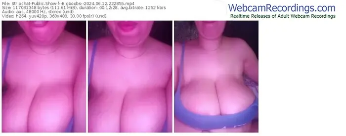 2024/06/12/stripchat--bigboobs--22-28-55