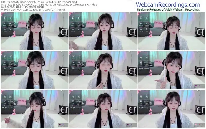 2024/06/12/stripchat-echo-21-02-25-49