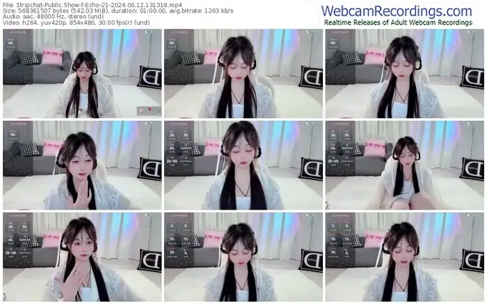 2024/06/12/stripchat-echo-21-13-13-18