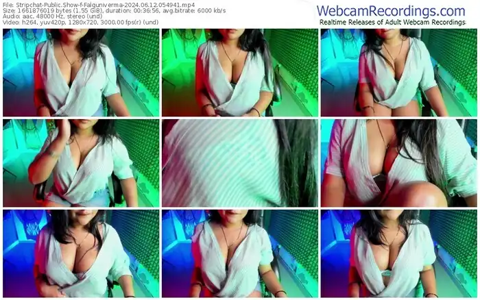 2024/06/12/stripchat-falguniverma-05-49-41