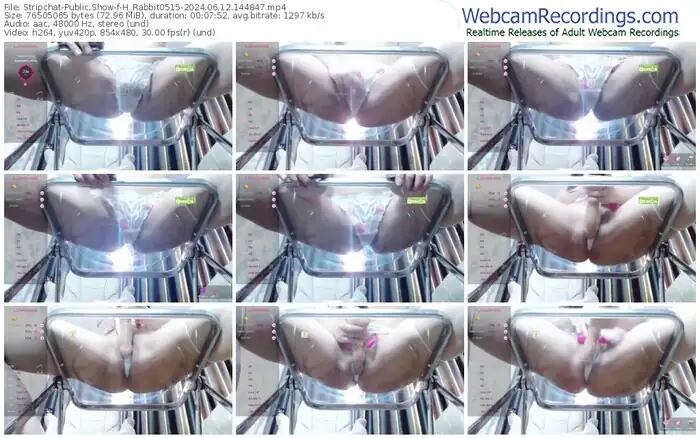 2024/06/12/stripchat-h_rabbit0515-14-48-47