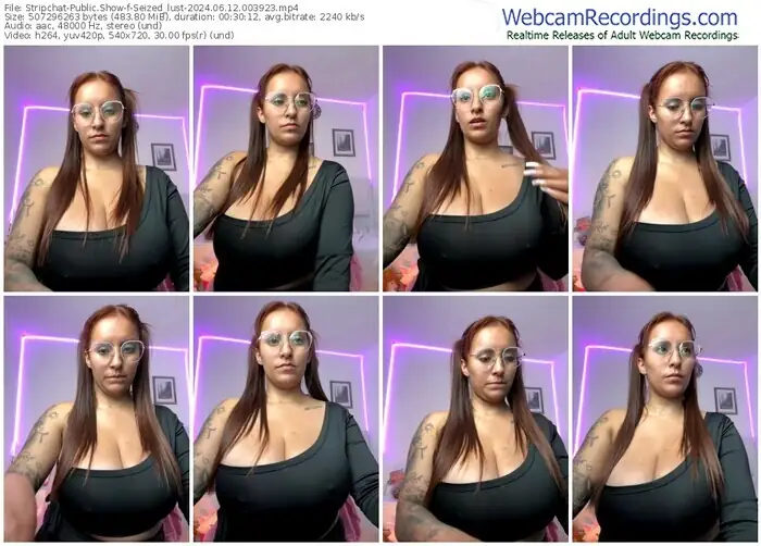 2024/06/12/stripchat-seized_lust-00-39-23