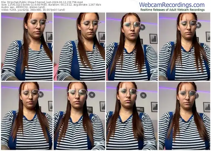 2024/06/12/stripchat-seized_lust-23-17-58
