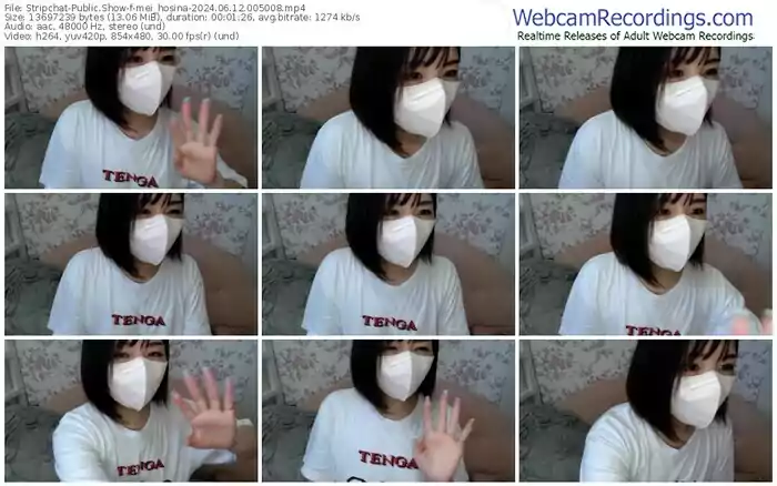 2024/06/12/stripchat-mei_hosina-00-50-08