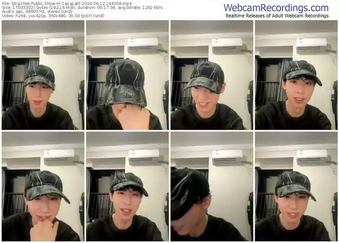 2024/06/12/stripchat-1a1a1alll-14-43-08