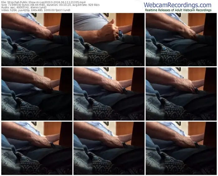 2024/06/12/stripchat-leo30010-12-13-35