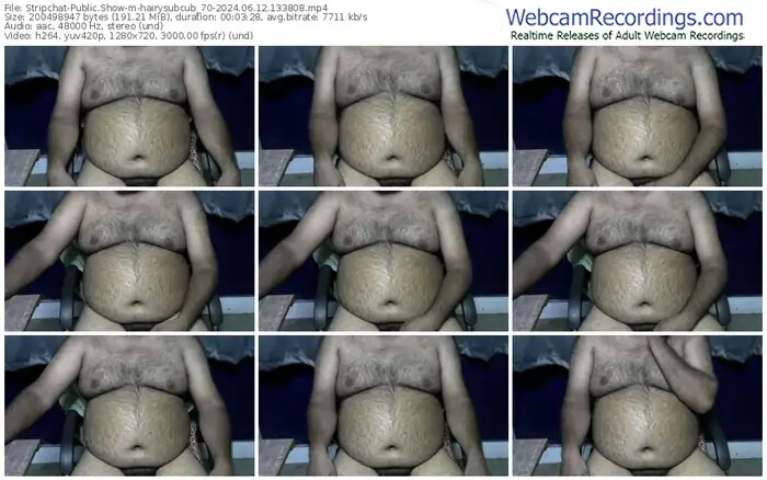 2024/06/12/stripchat-hairysubcub_70-13-38-08
