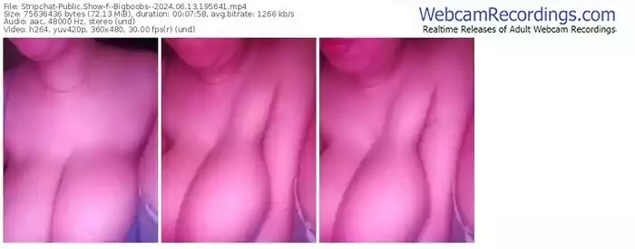 2024/06/13/stripchat--bigboobs--19-56-41