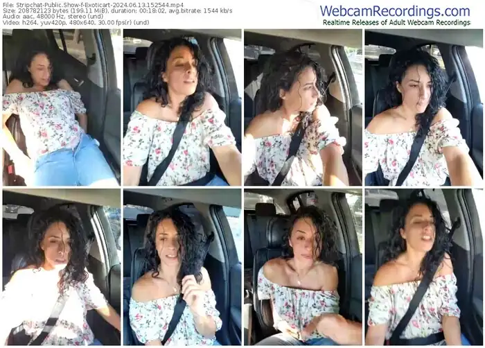 2024/06/13/stripchat-exoticart-15-25-44