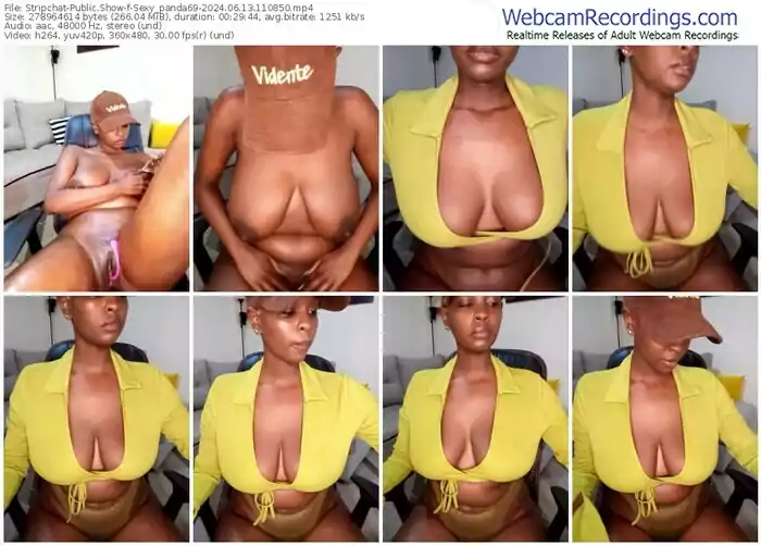 2024/06/13/stripchat-sexy_panda69-11-08-50