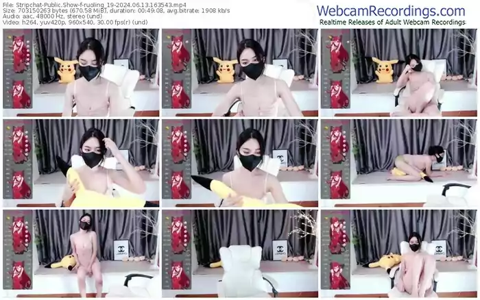 2024/06/13/stripchat-ruoling_19-16-35-43
