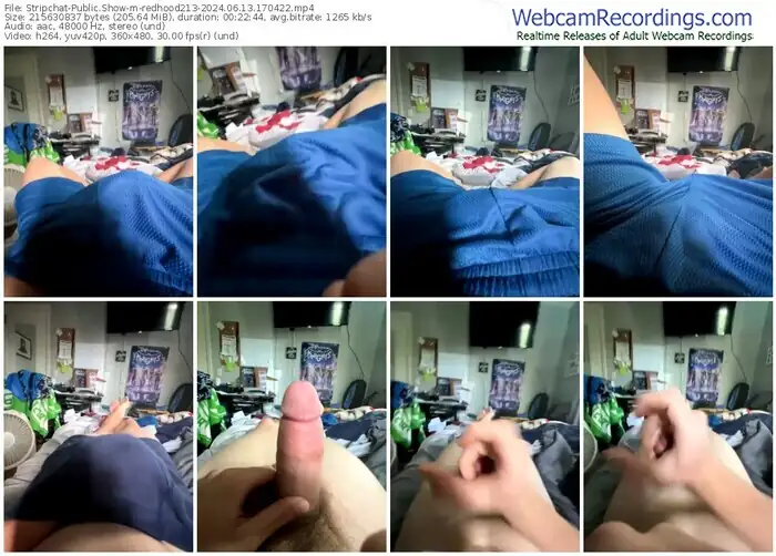 2024/06/13/stripchat-redhood213-17-04-22