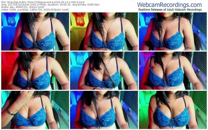 2024/06/14/stripchat-falguniverma-11-09-10