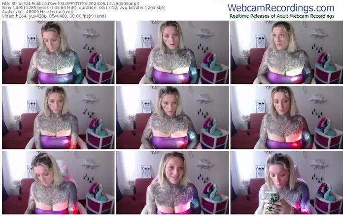 2024/06/14/stripchat-sloppytitss-19-05-09