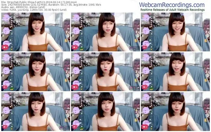 2024/06/14/stripchat-a0513-17-12-40