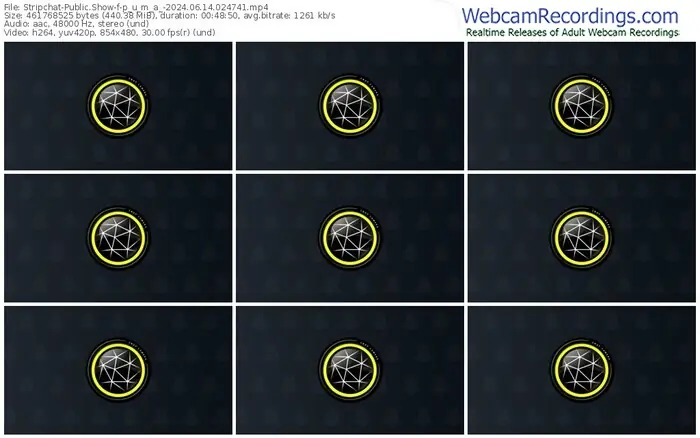 2024/06/14/stripchat-p_u_m_a_-02-47-41