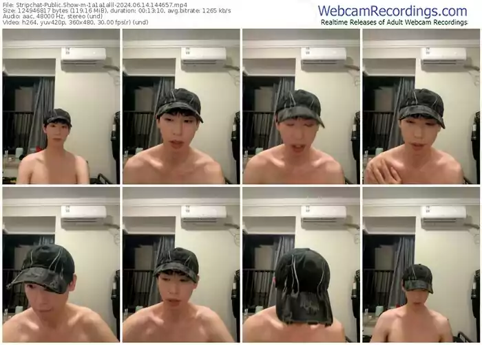 2024/06/14/stripchat-1a1a1alll-14-46-57