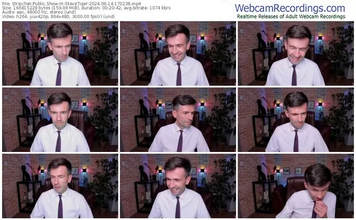 2024/06/14/stripchat-stevetiger-17-02-38