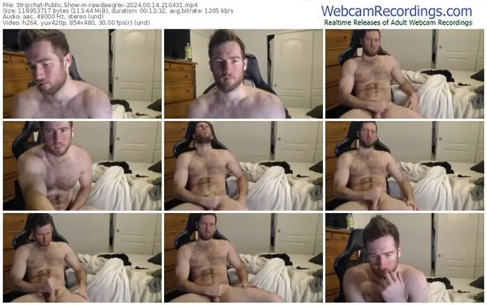 2024/06/14/stripchat-rawdawgrex-21-04-31