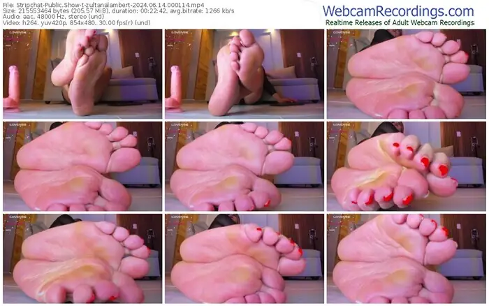 2024/06/14/stripchat-zultanalambert-00-01-14