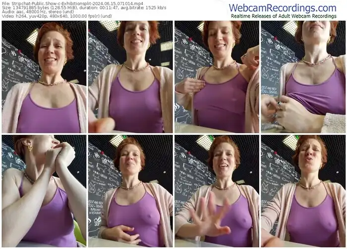 2024/06/15/stripchat-exhibitionsplit-07-10-14