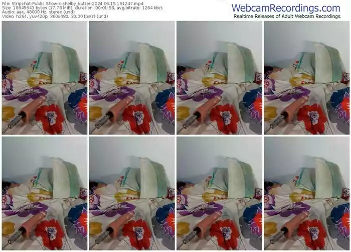 2024/06/15/stripchat-shelby_kutter-16-12-47