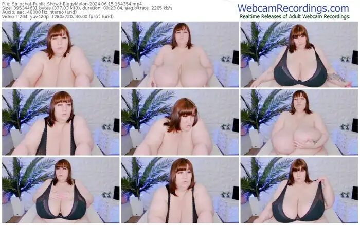 2024/06/15/stripchat-biggymelon-15-43-54