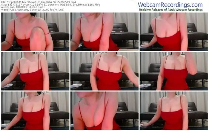 2024/06/15/stripchat-liz_hu-09-15-13