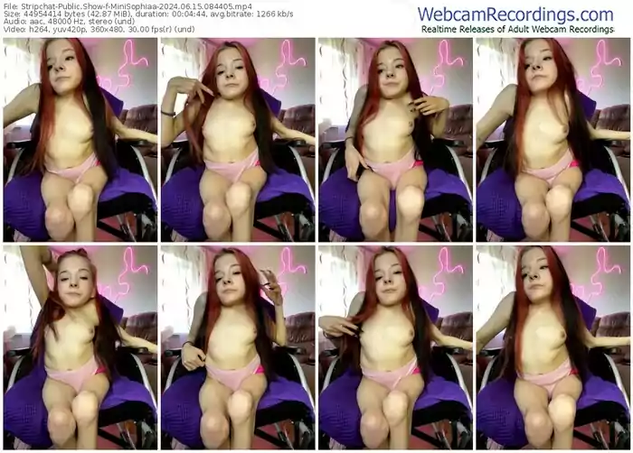 2024/06/15/stripchat-minisophiaa-08-44-05
