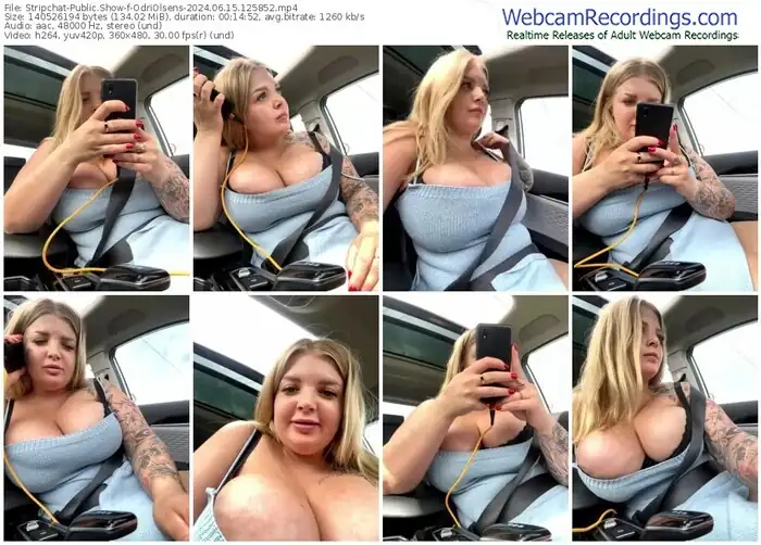 2024/06/15/stripchat-odriolsens-12-58-52